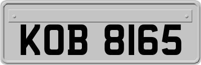 KOB8165