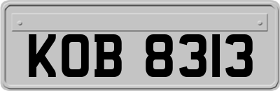 KOB8313
