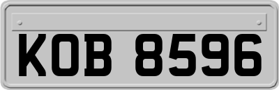 KOB8596
