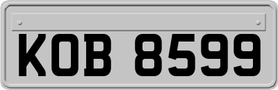 KOB8599