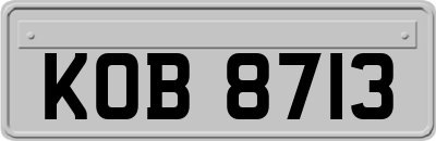 KOB8713