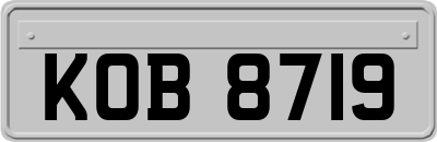 KOB8719
