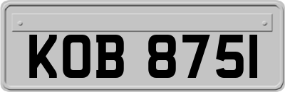 KOB8751