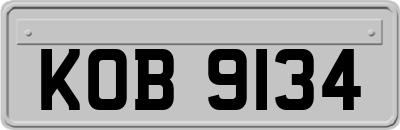 KOB9134