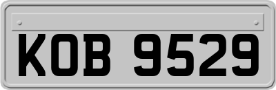 KOB9529