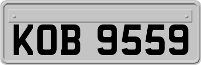 KOB9559
