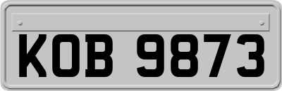 KOB9873