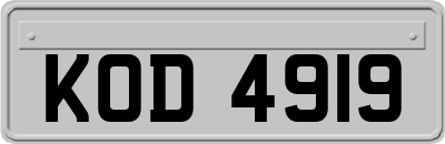KOD4919