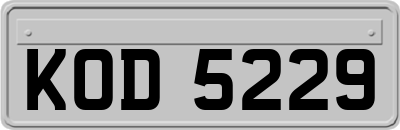 KOD5229