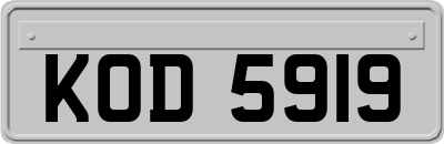 KOD5919