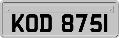 KOD8751
