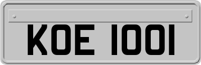 KOE1001