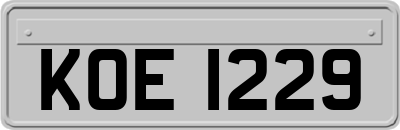 KOE1229