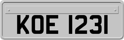 KOE1231