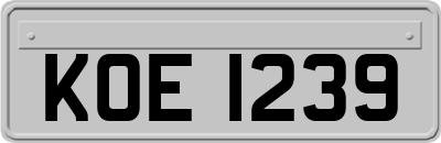 KOE1239