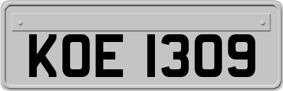KOE1309