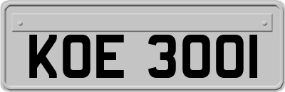 KOE3001