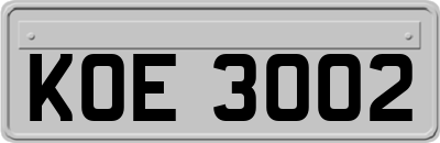 KOE3002