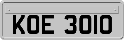 KOE3010