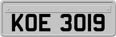 KOE3019