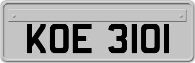 KOE3101