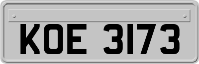 KOE3173
