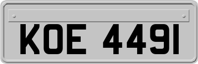 KOE4491