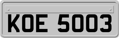 KOE5003