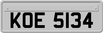 KOE5134