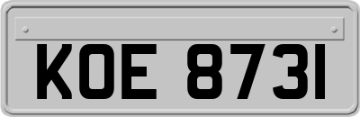 KOE8731