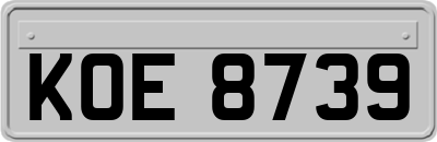 KOE8739