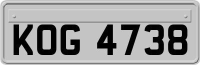 KOG4738
