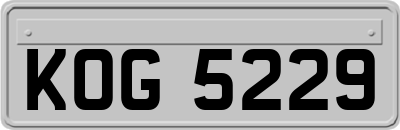 KOG5229