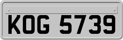 KOG5739