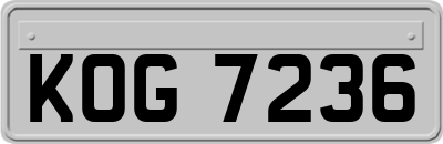KOG7236