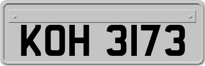 KOH3173