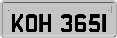 KOH3651