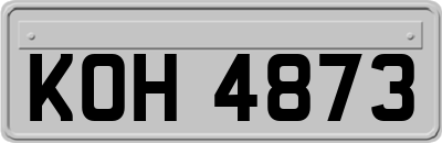 KOH4873