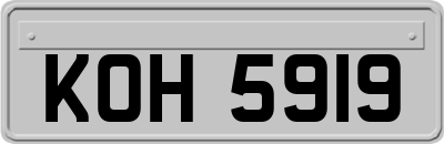KOH5919
