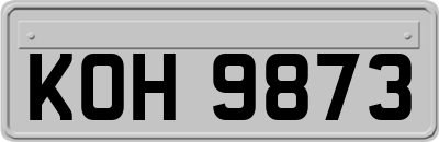 KOH9873