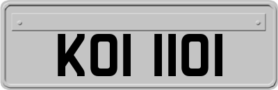 KOI1101
