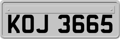KOJ3665