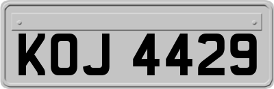 KOJ4429