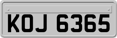 KOJ6365