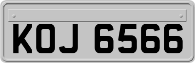 KOJ6566