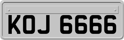 KOJ6666