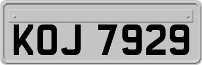 KOJ7929