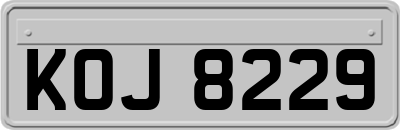KOJ8229