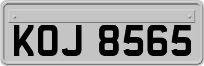 KOJ8565