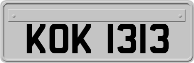KOK1313